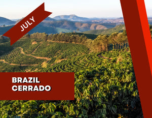 Brazil Cerrado for July