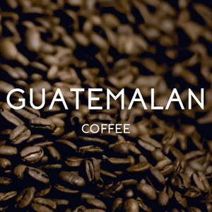 Guatemalan Antigua - Fresh Roasted