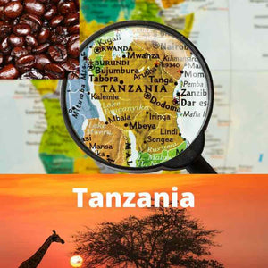 Fresh Roasted - Tanzanian Peaberry